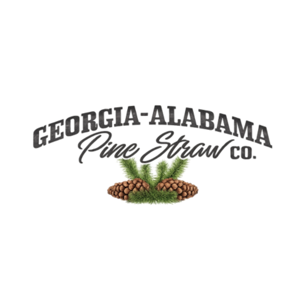 Georgia-Alabama Pine Straw